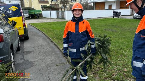 Weihnachtsbaum-sammeln-003