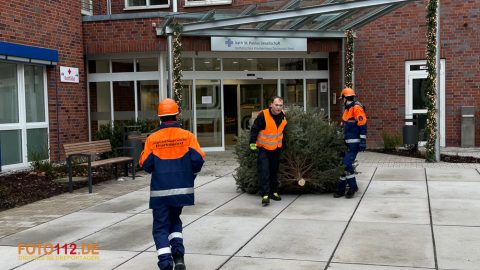 Weihnachtsbaum-sammeln-004