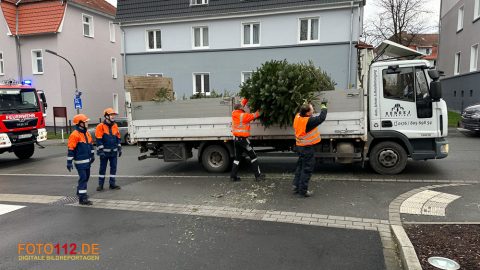 Weihnachtsbaum-sammeln-005