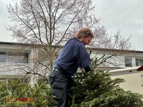 Weihnachtsbaum-sammeln-006