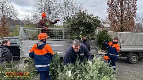 Weihnachtsbaum-sammeln-008