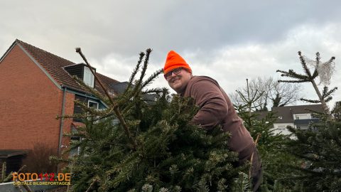 Weihnachtsbaum-sammeln-009