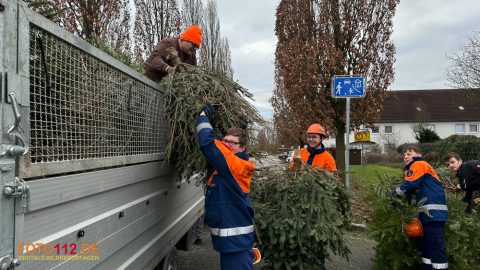 Weihnachtsbaum-sammeln-010