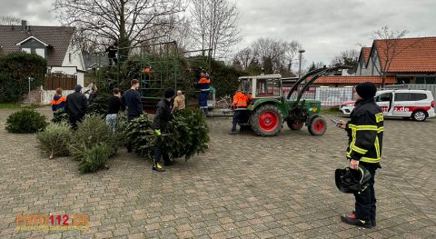 Weihnachtsbaum-sammeln-011