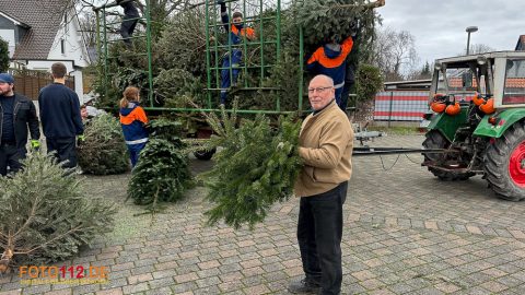 Weihnachtsbaum-sammeln-012