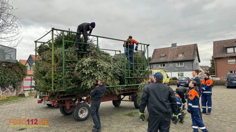 Weihnachtsbaum-sammeln-013