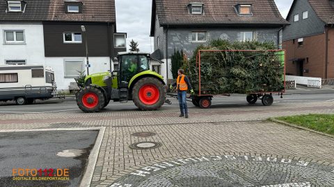 Weihnachtsbaum-sammeln-015