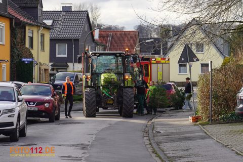 Weihnachtsbaum-sammeln-020