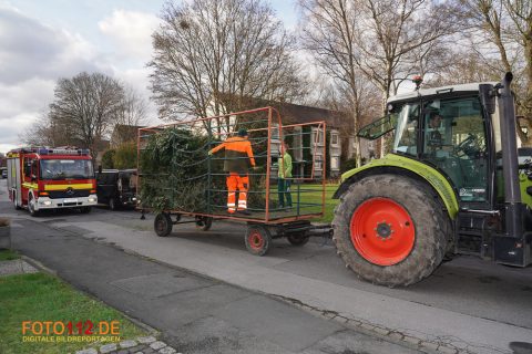 Weihnachtsbaum-sammeln-021