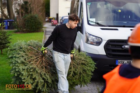 Weihnachtsbaum-sammeln-023