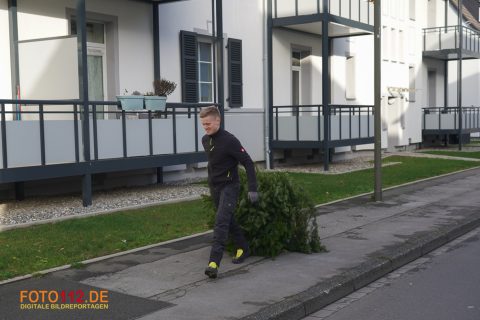 Weihnachtsbaum-sammeln-028