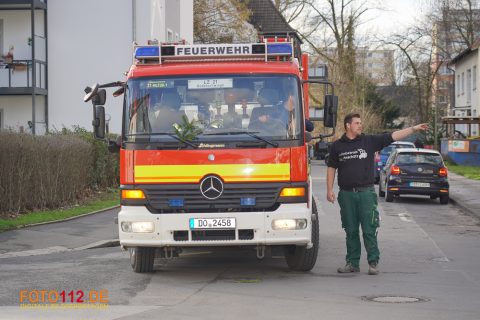 Weihnachtsbaum-sammeln-029