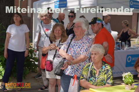 046-In-der-Meile