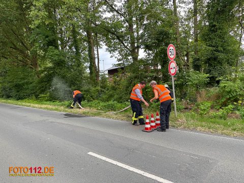 020-Flaechenbrand