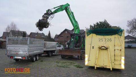 Tannen015