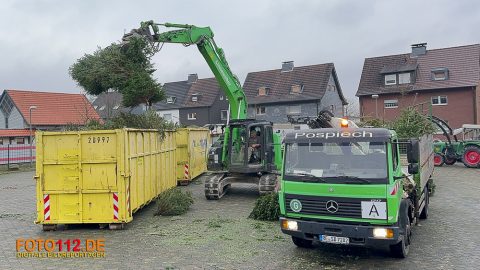 Tannen016