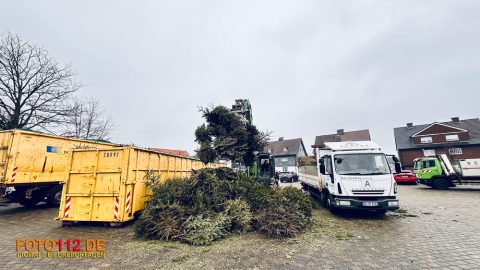 Tannen020