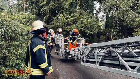 Baum-auf-Stromleitung-003