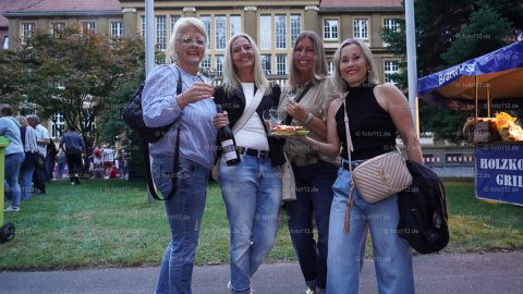 Rathausfest-im-Licht-Teil-1-029