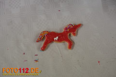 JF-LZ21-Plaetzchen-backen-25