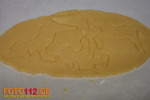 JF-LZ21-Plaetzchen-backen-7