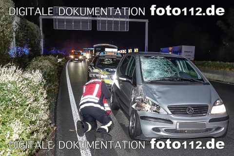 20181108-_DSC5924