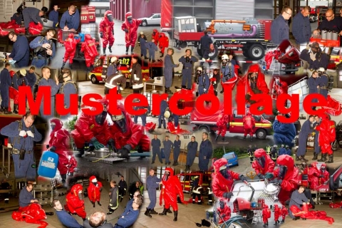 collage-lz19-abc-net