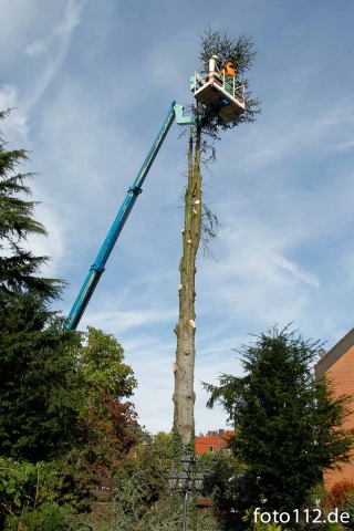 20131019_baum_1-17