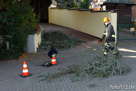 20131019_baum_1-5