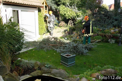 20131019_baum_1-8