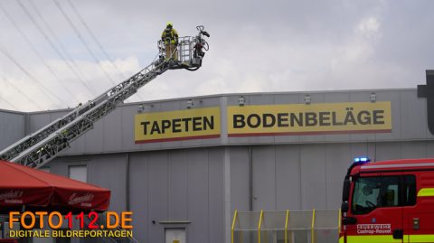 TEDOX-BRAND-011