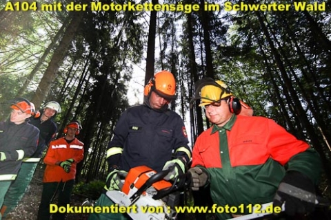 th-wald-005-002