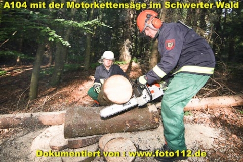 th-wald-011-003