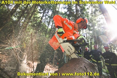 th-wald-014-004