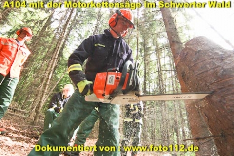 th-wald-029-008