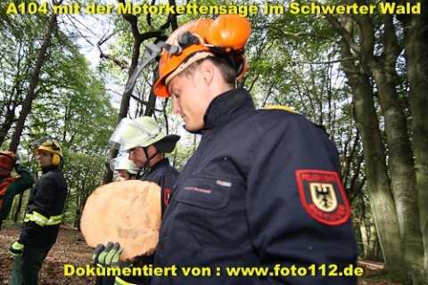 th-wald-042-011