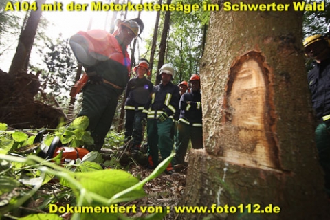 th-wald-063-016