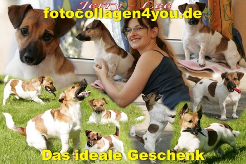 hundecoll_02