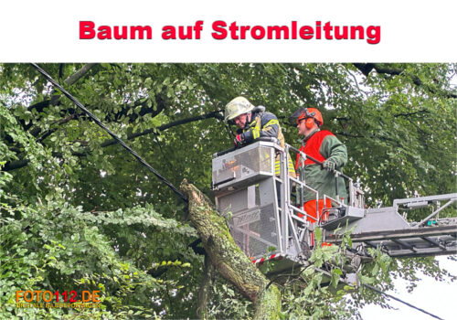 Baum auf Stromleitung